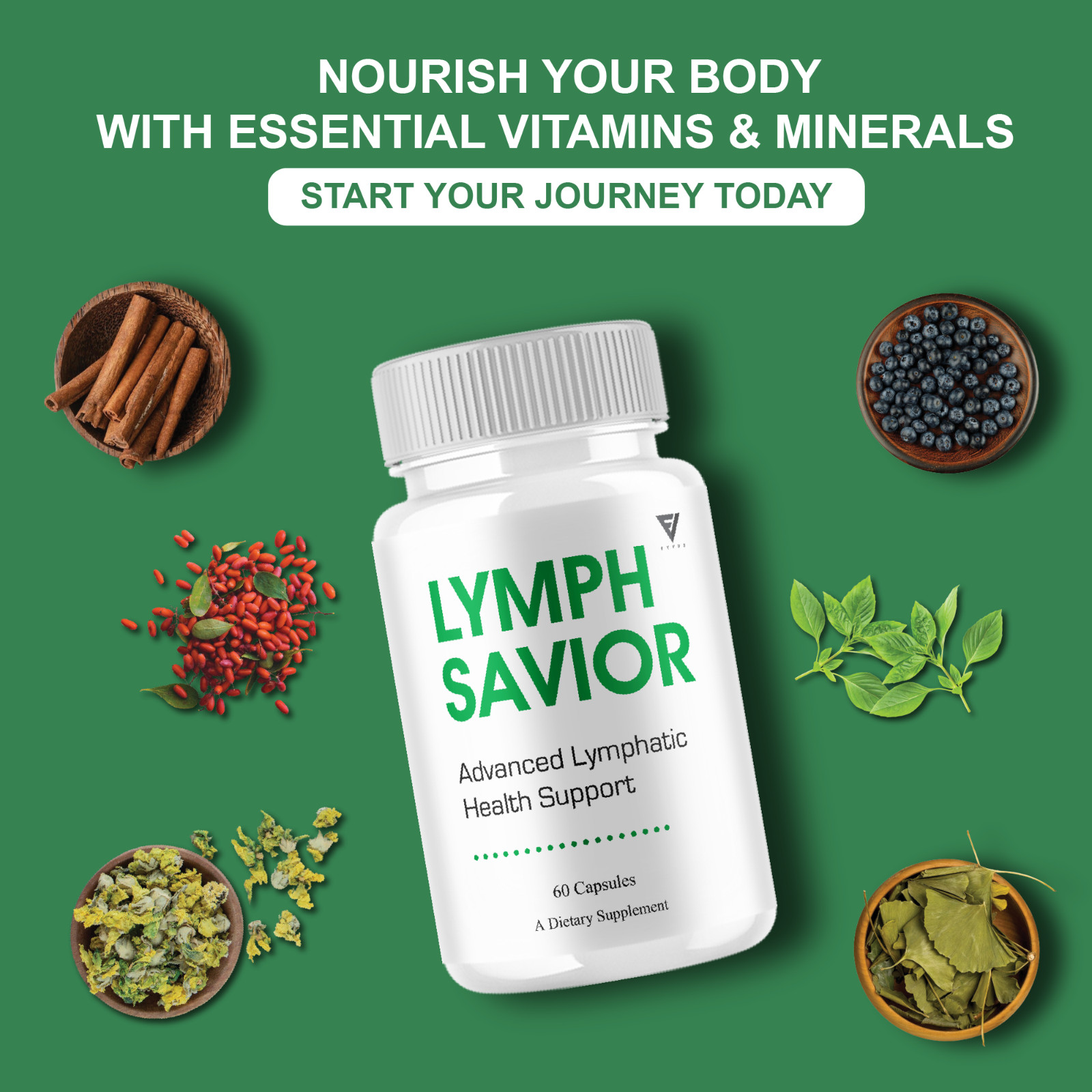 Lymph Savior Lymphatic Health, LymphSavior Support (60 Capsules)