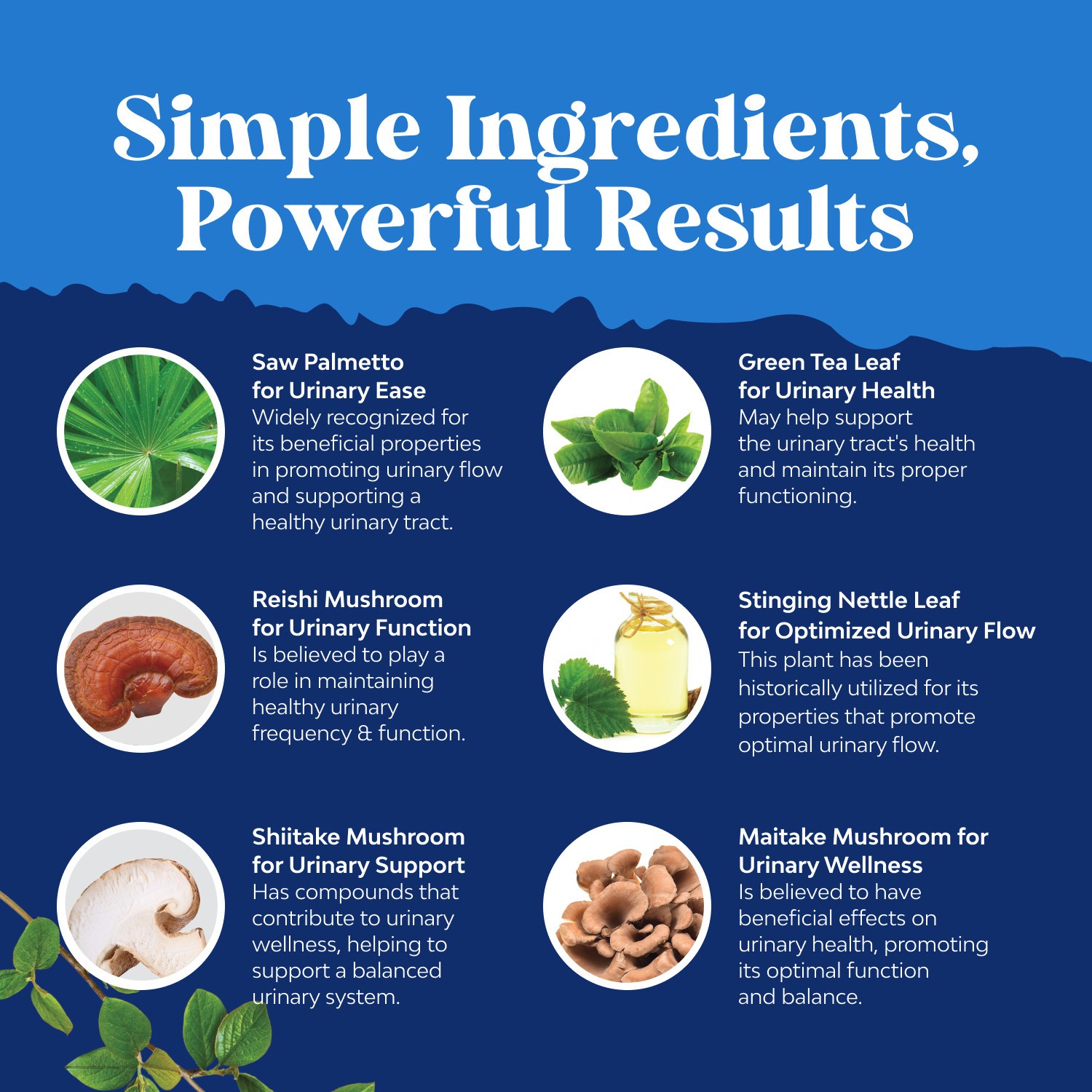 Herbal Prostate Health Supplements for Men – with Beta Sitosterol Selenium 90ct