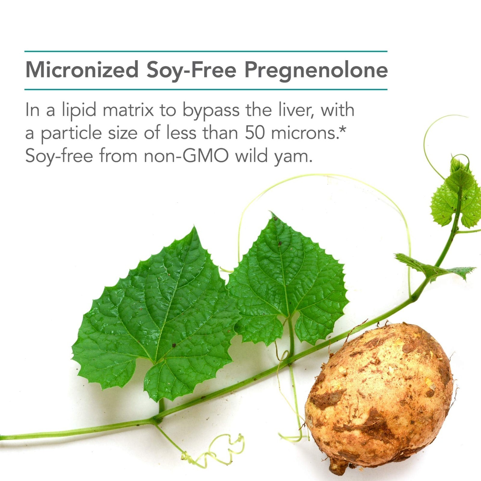 Micronized Pregnenolone 100mg – Hormone Support for Stress & Well-Being – 60 Tab
