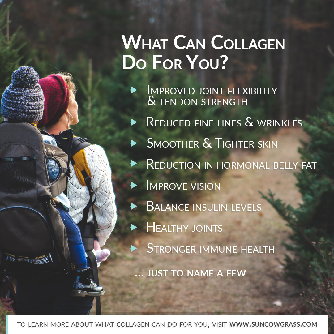 Chicken Bone Broth Collagen Powder – Pure & Organic – Free-Range (300g)