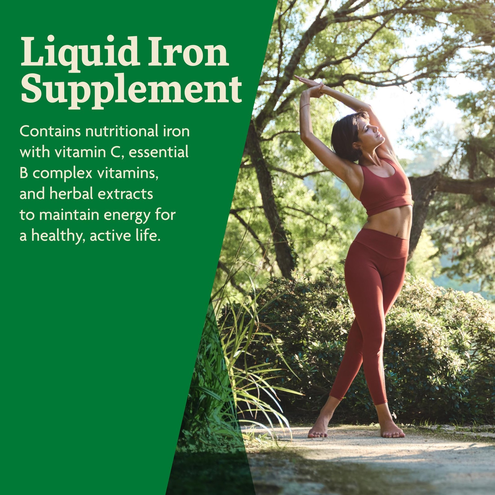 Floradix Iron & Herbs – Liquid Herbal 8.5 Fl Oz (Pack of 1), No Color