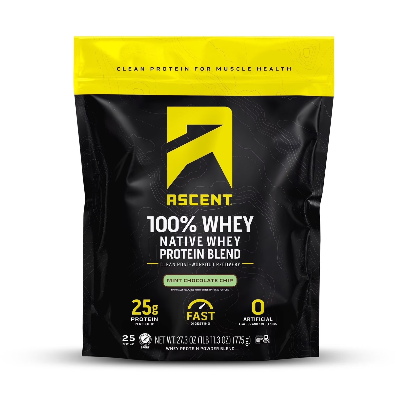 100% Whey Protein Powder, Gluten Free, Mint Chocolate Chip, 25 Servings