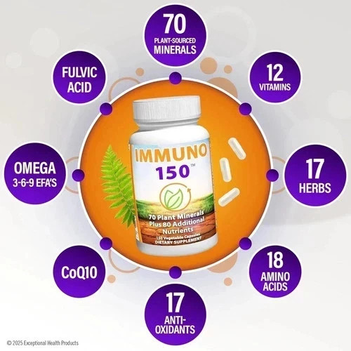 IMMUNO The Ultimate Multivitamin & Immune Support Supplement 300 Capsules