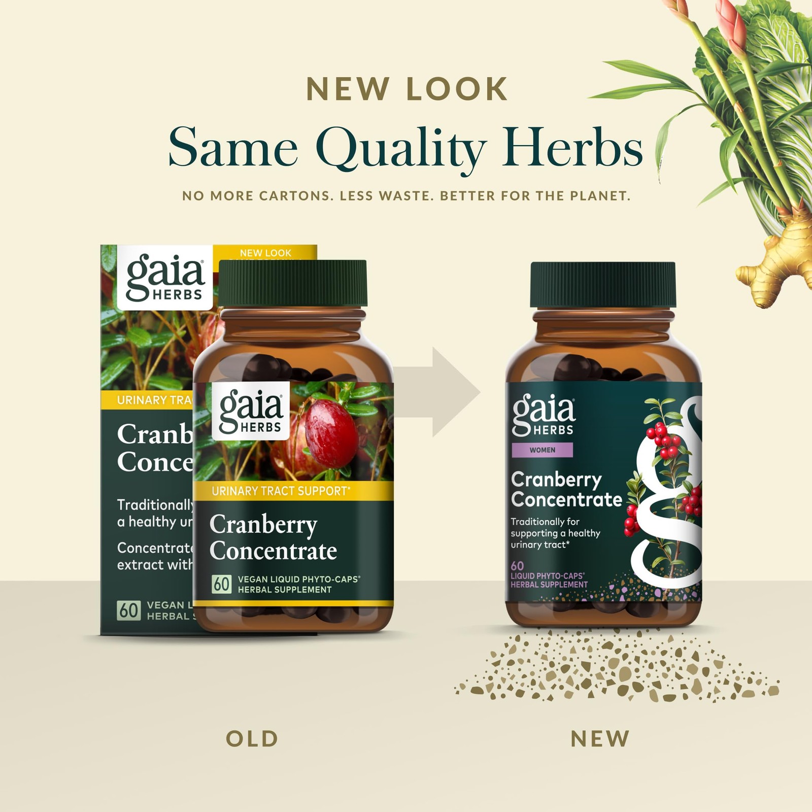 Gaia Herbs Cranberry Concentrate – Traditionally for Helping to Maintain Uri…