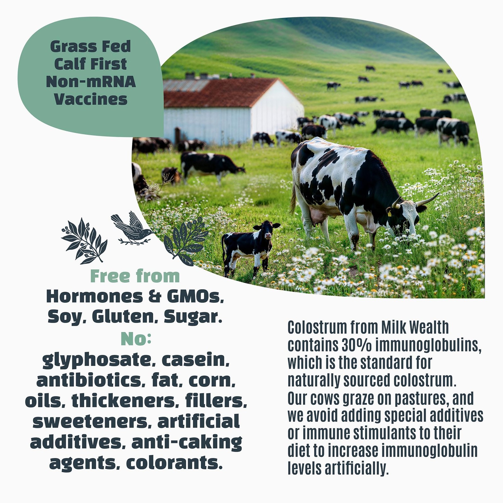 Milk Wealth Bovine Colostrum Powder 50G Igg Gut Health 25 Single-Serve Packets