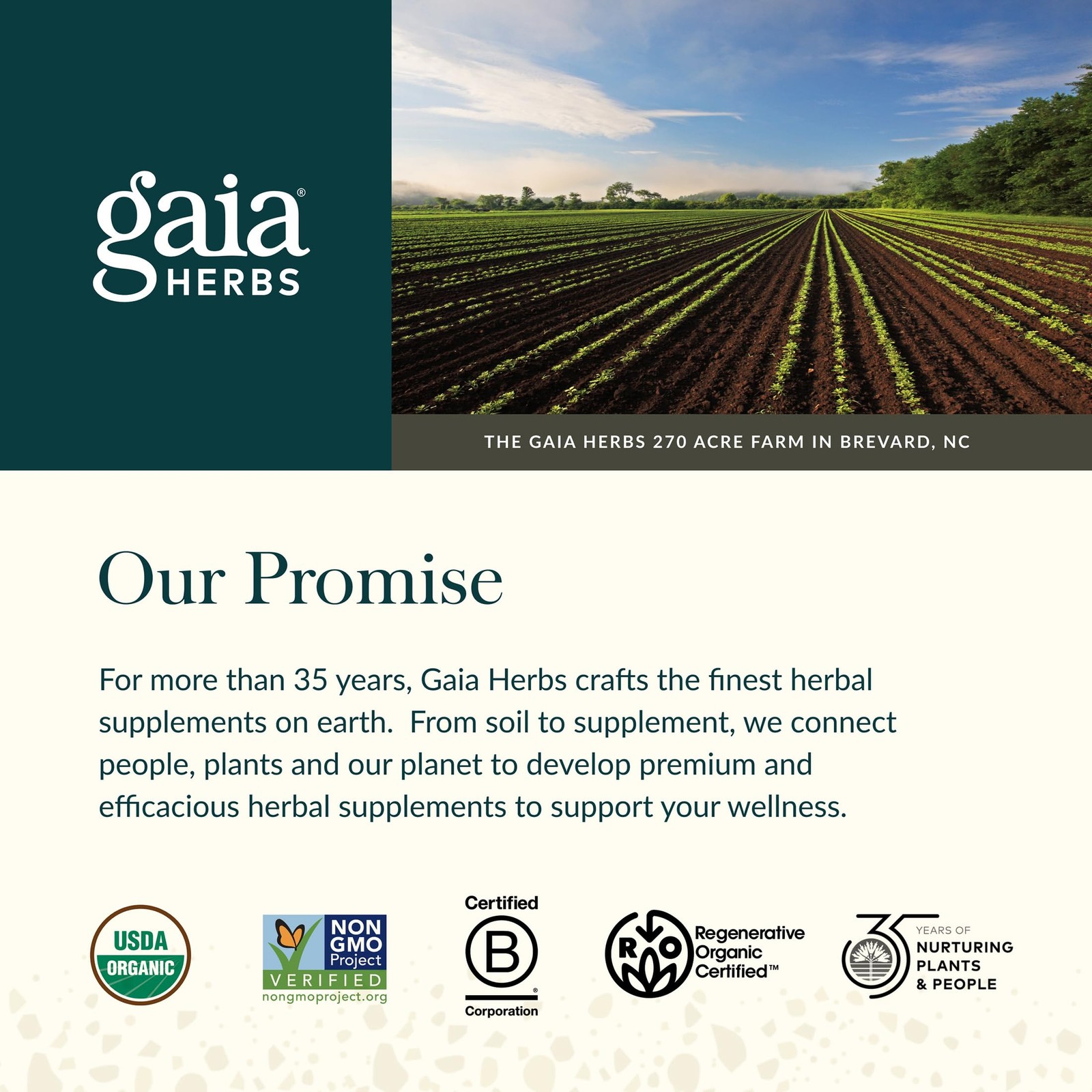 Gaia Herbs Hawthorn Supreme – Hawthorn Berry Supplement – with Herbs