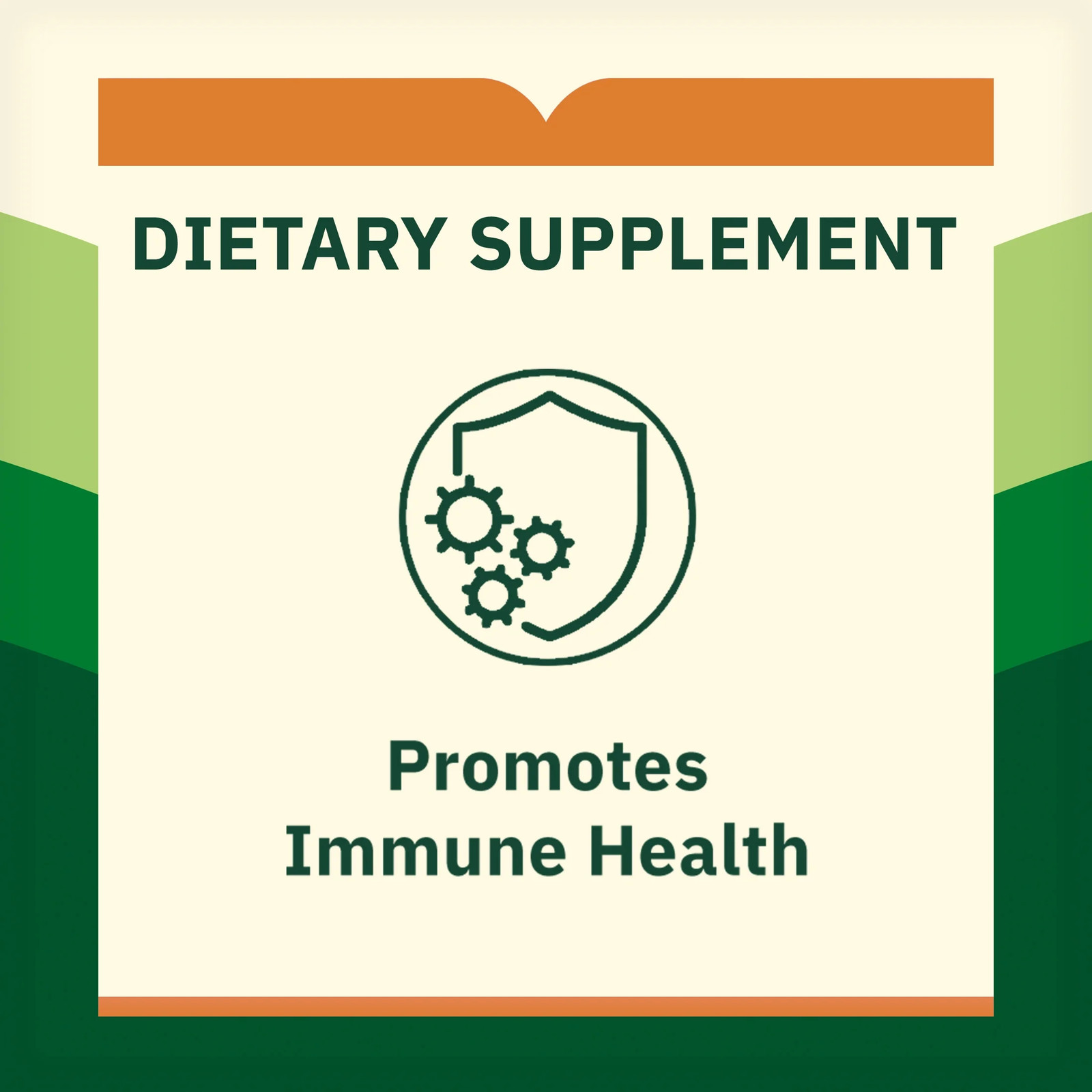 Vitamin C 500Mg with Rose Hips Immune Support 100 Tablets