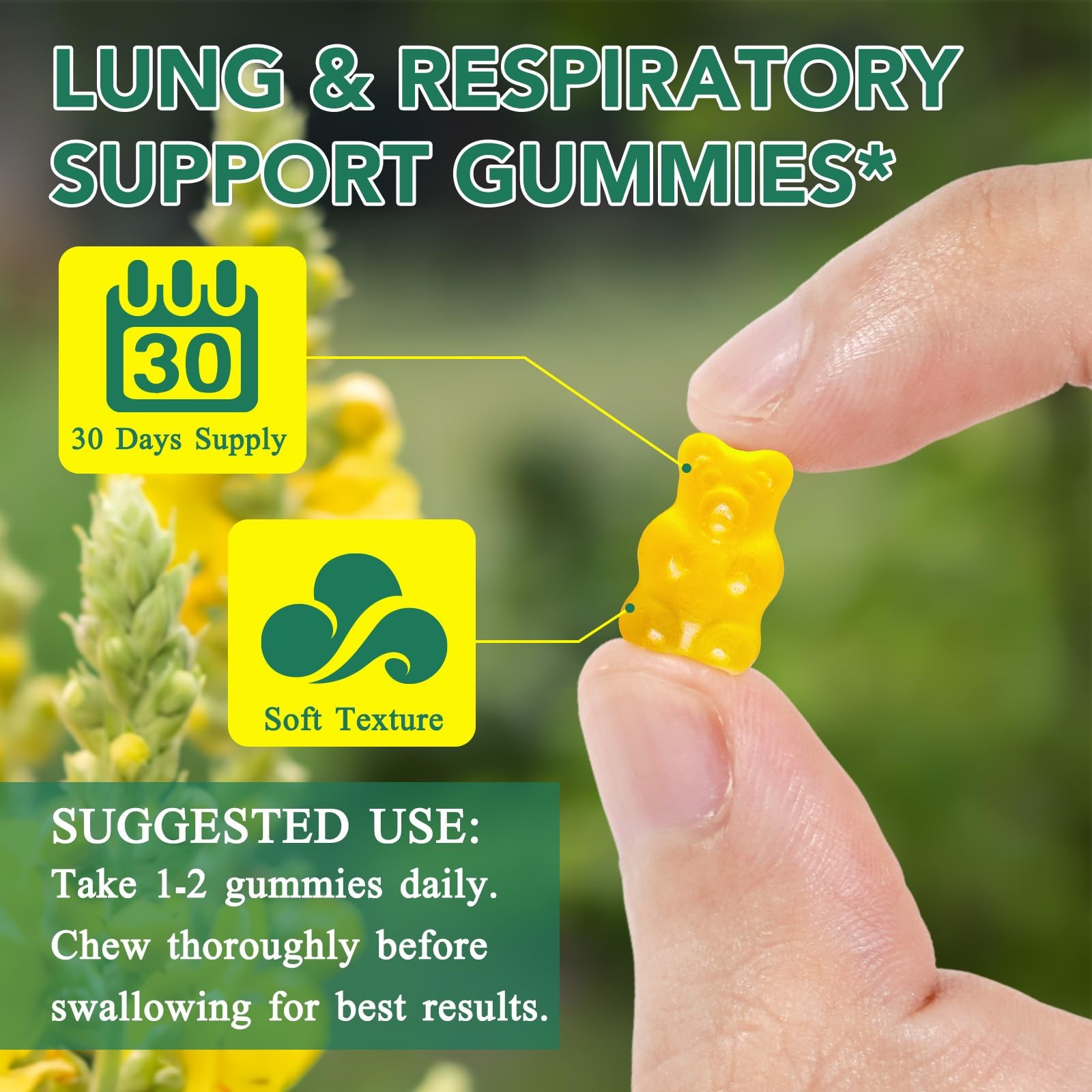 MXCZBSM 60 Count Mullein Gummies for Lung, 2000mg 60 (Pack of 1)