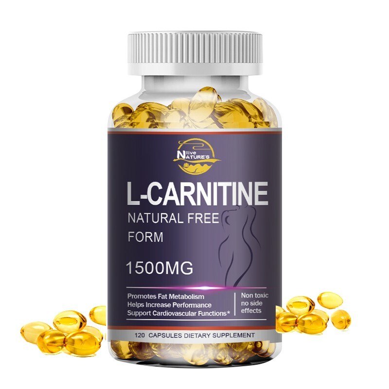 Acetyl L-Carnitine Fat Burner Weight Loss Antioxidant High Potency Supplement