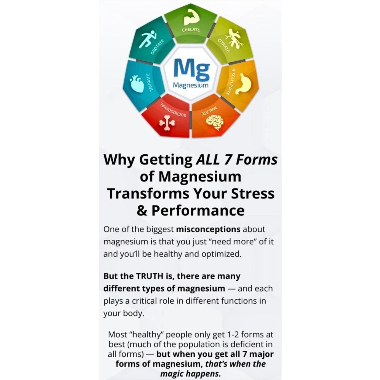 3 Pack Bioptimizers Magnesium 7 | Breakthrough Essential Forms, 60 Capsules
