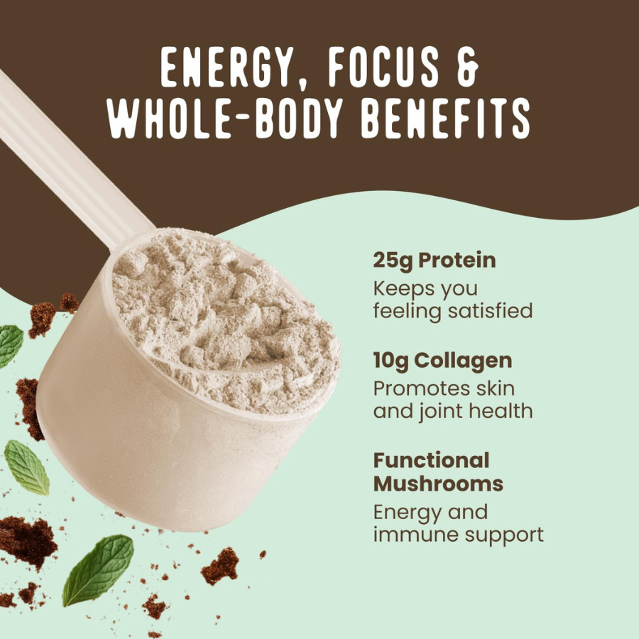 FlavCity Mint Chocolate Protein Smoothie – On the Go Meal Alternative 20 Srv