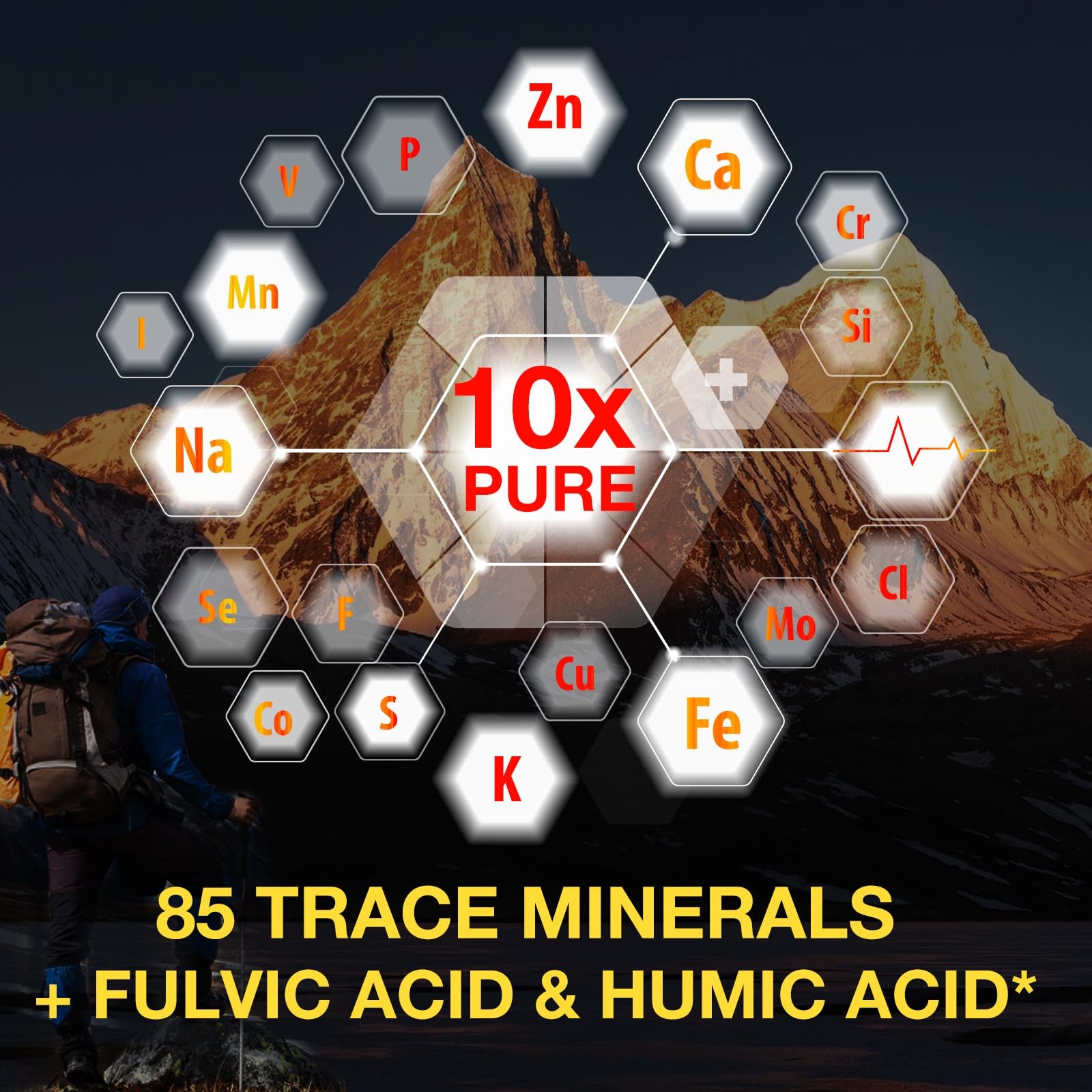 Shilajit Pure Himalayan Organic Resin Drop, 2.02 Fl Oz (Pack of 1)