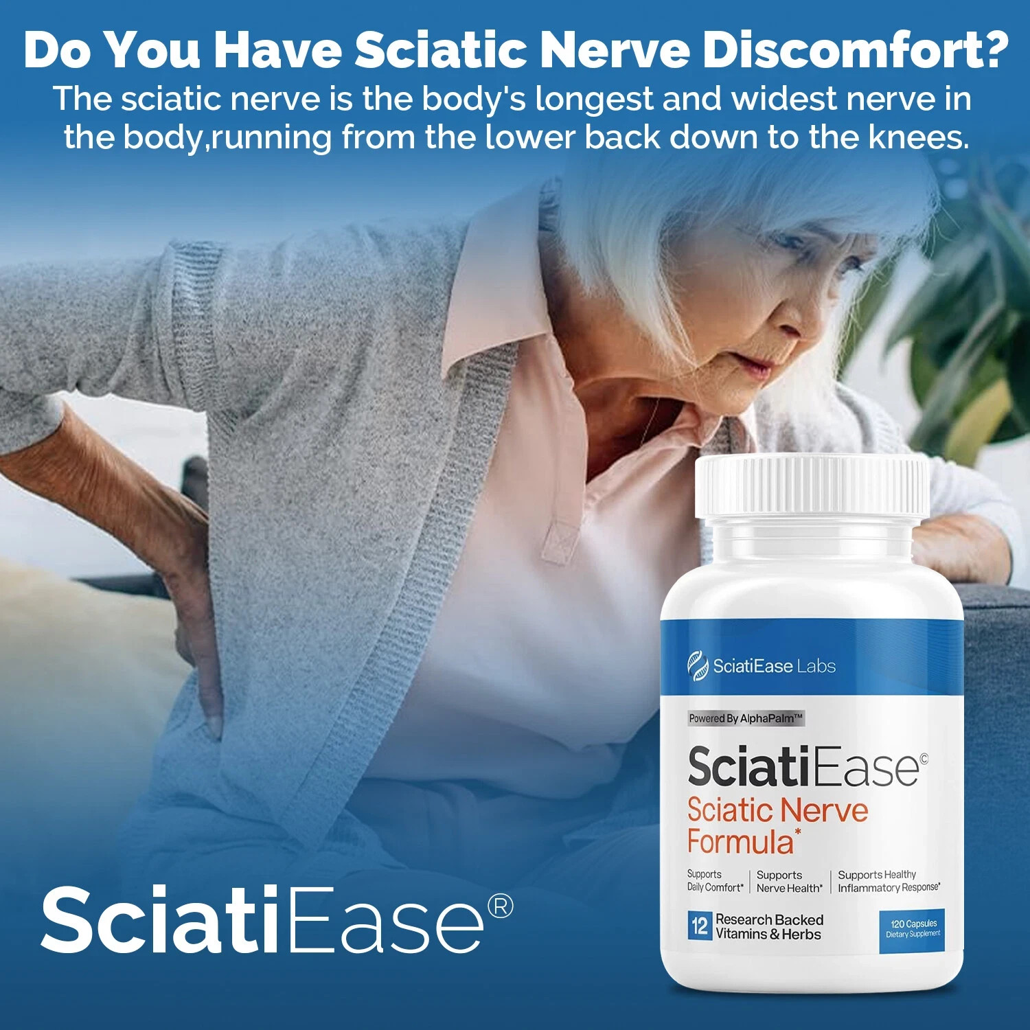 SciatiEase Labs Sciatic Ease Nerve Formula – Nervous System Health, Antioxidant