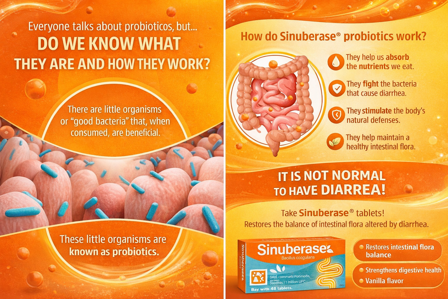 Sinuberase (10 ) Bacillus Clausii Probiotic 4 Billion Cfu/5Ml