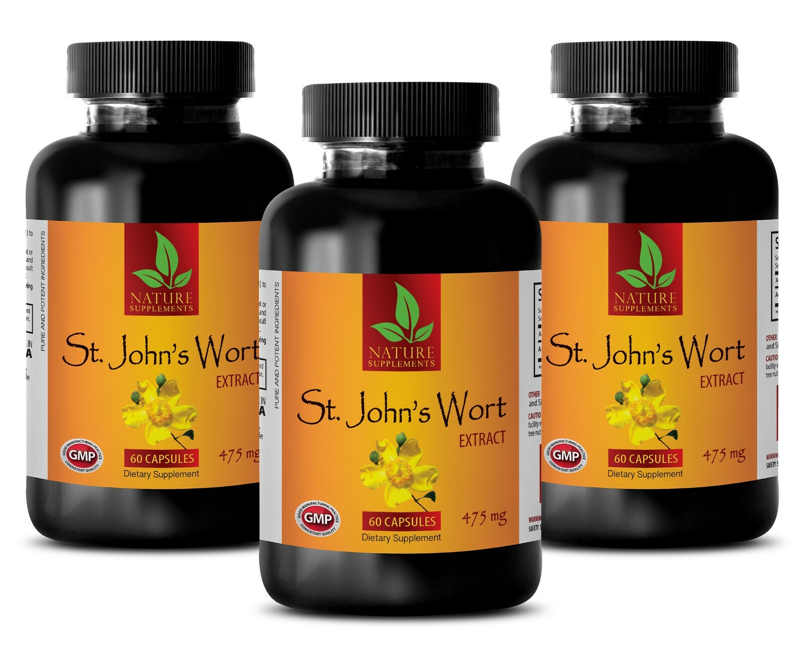 Ginkgo Biloba Seeds – ST. JOHN’S WORT EXTRACT – Pain Relief 3 Bottles