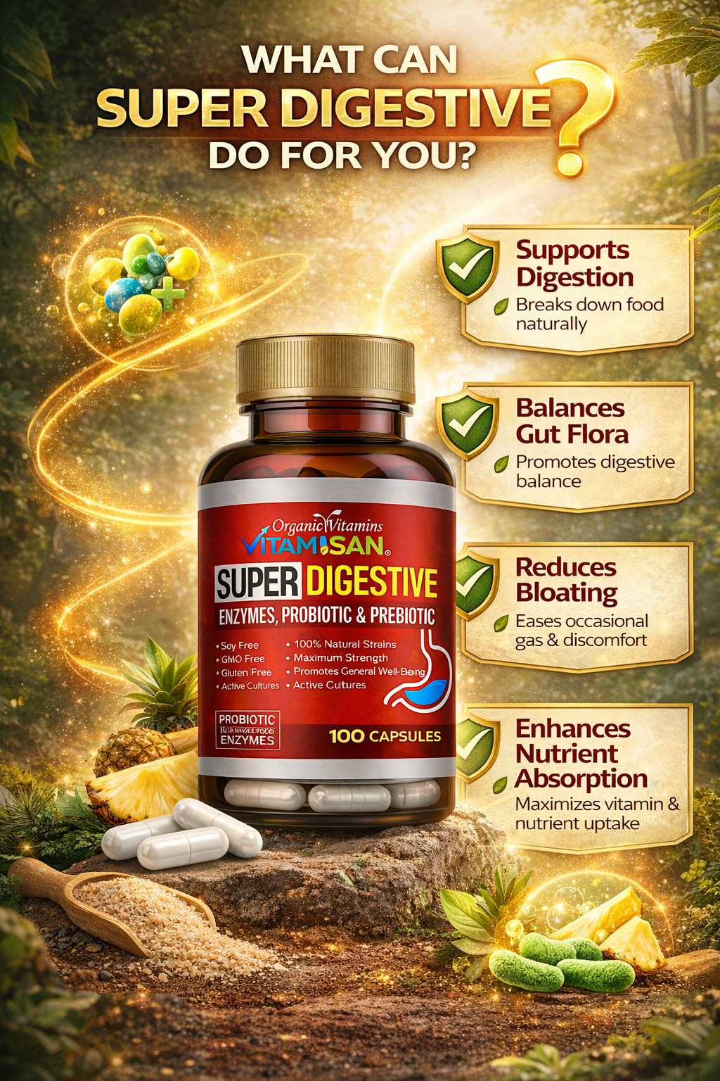Enhanced Super Digestive Enzymes 100 Caps probiotic & prebiotic