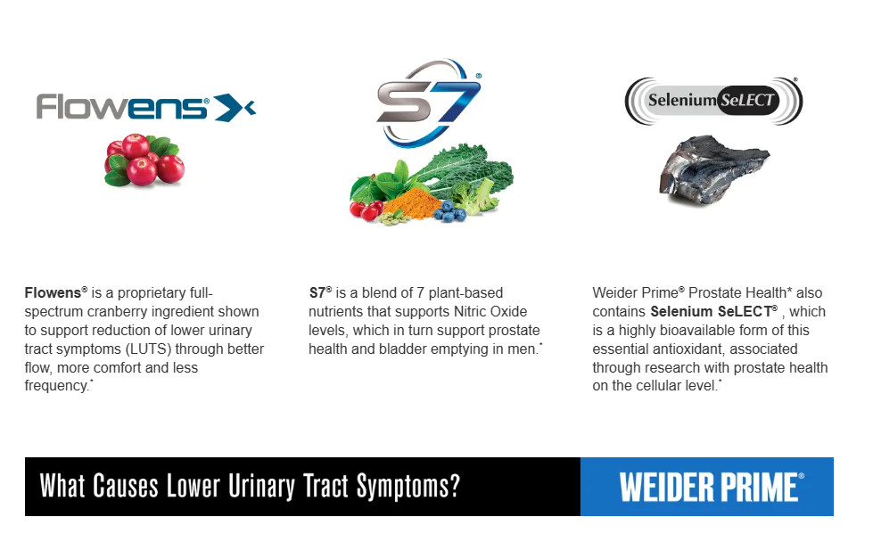 Weider Prime Prostate Health, 120 Veggie Capsules Exp: 01/2026 – Free Shipping!