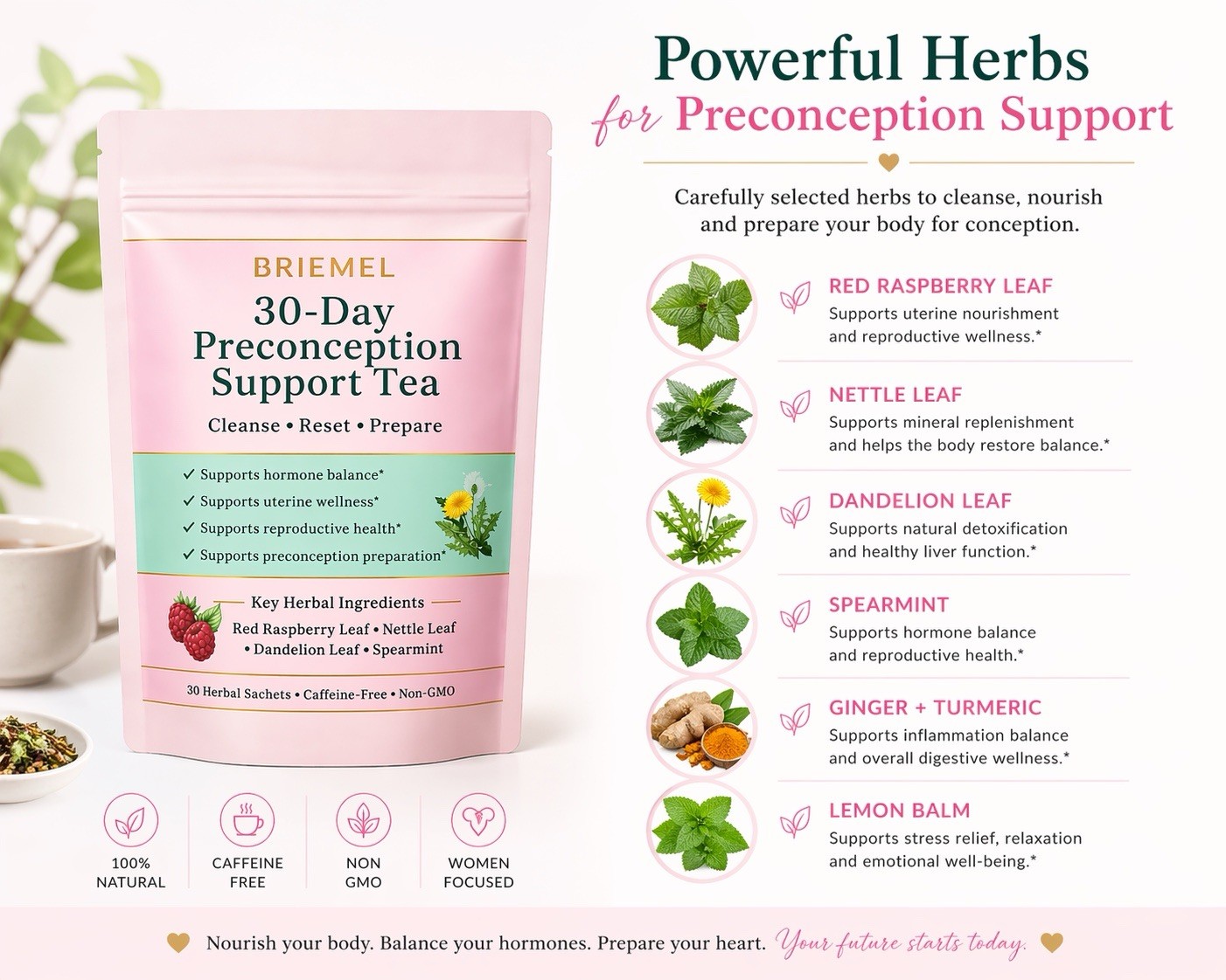 Fertility Support Tea Preconception Herbal Blend Hormone Balance 30 Days Supply