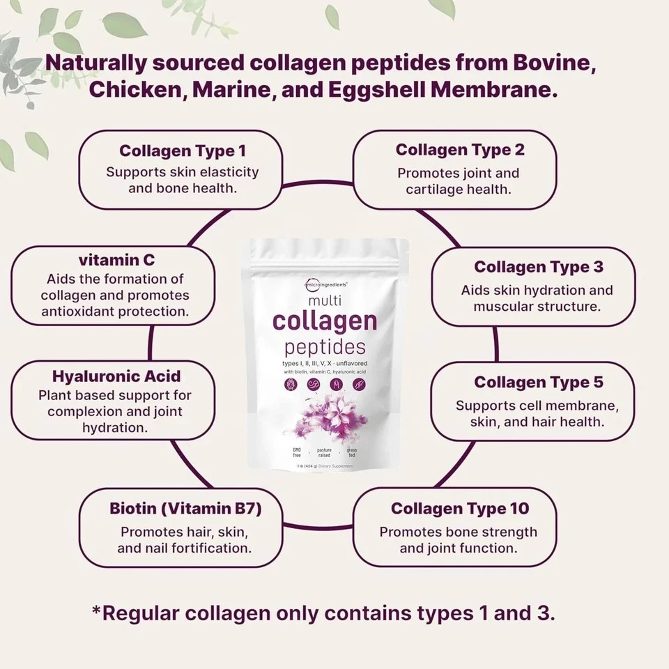 3 PACK Multi Collagen Peptides Powder 1 lb Hydrolyzed Protein Peptide