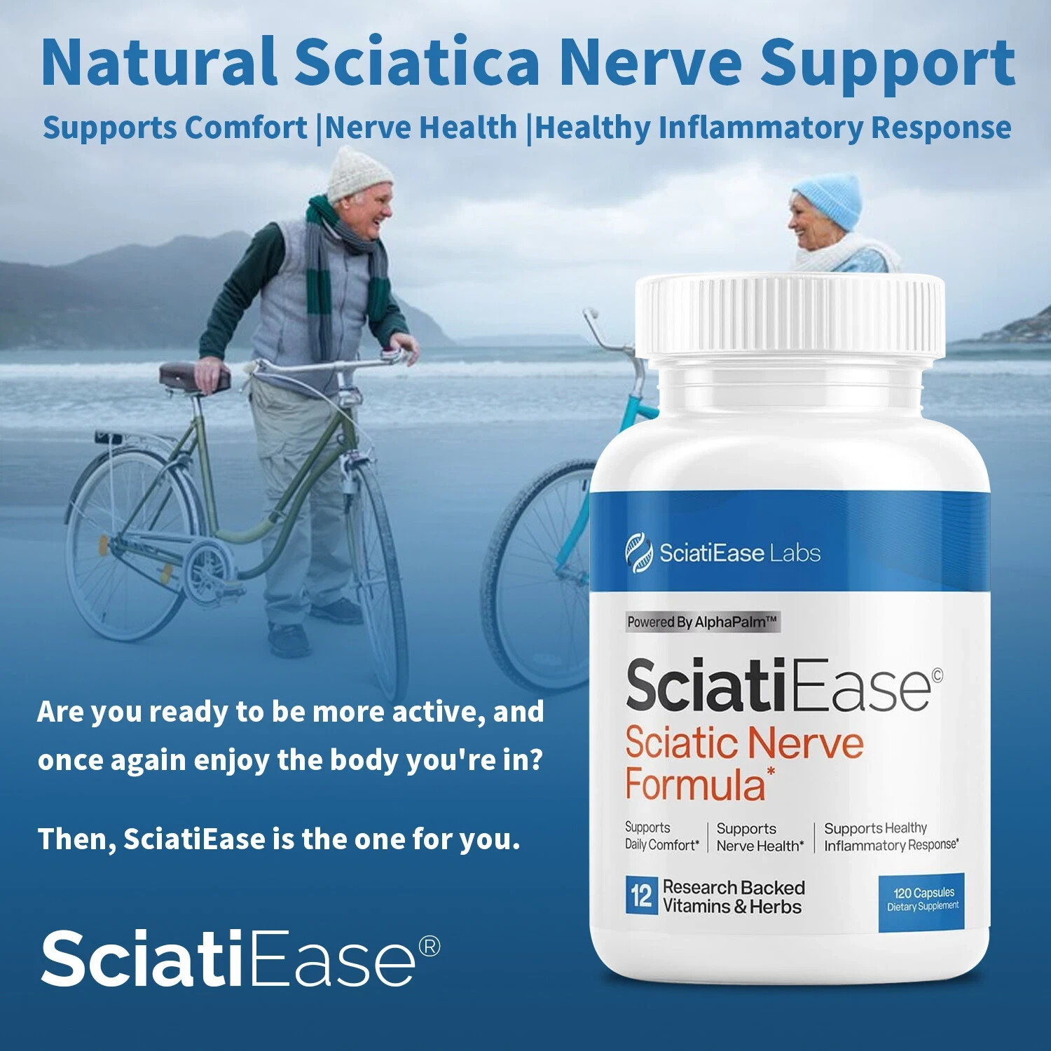 SciatiEase Labs Sciatic Ease Nerve Formula – Nervous System Health, Antioxidant