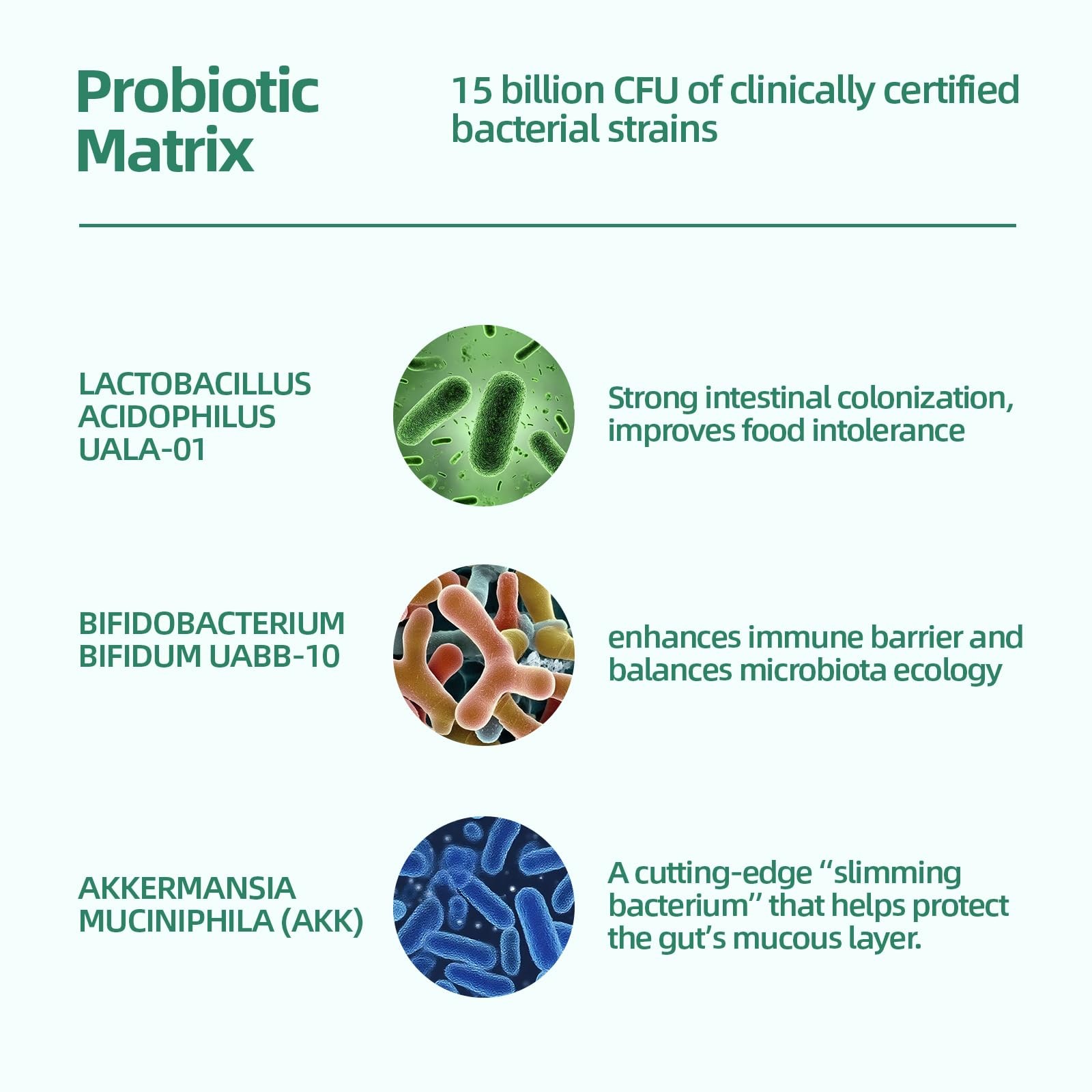Biodepot Probiotic 7 Days Drink for Gut Health – Liquid Probiotics with Prebi…