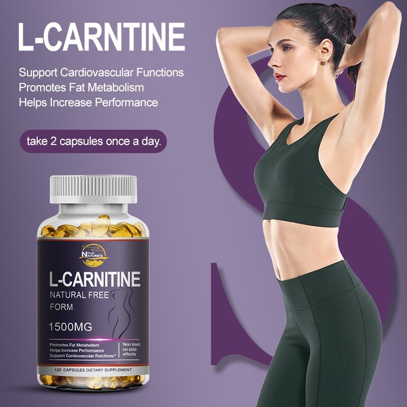 Acetyl L-Carnitine Fat Burner Weight Loss Antioxidant High Potency Supplement
