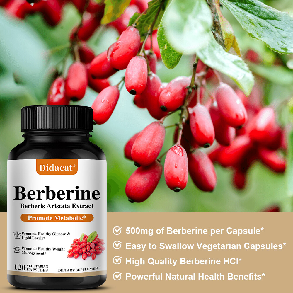 Berberine Hcl – Heart Health And Blood Sugar Balance – Plant-Based Antioxidant