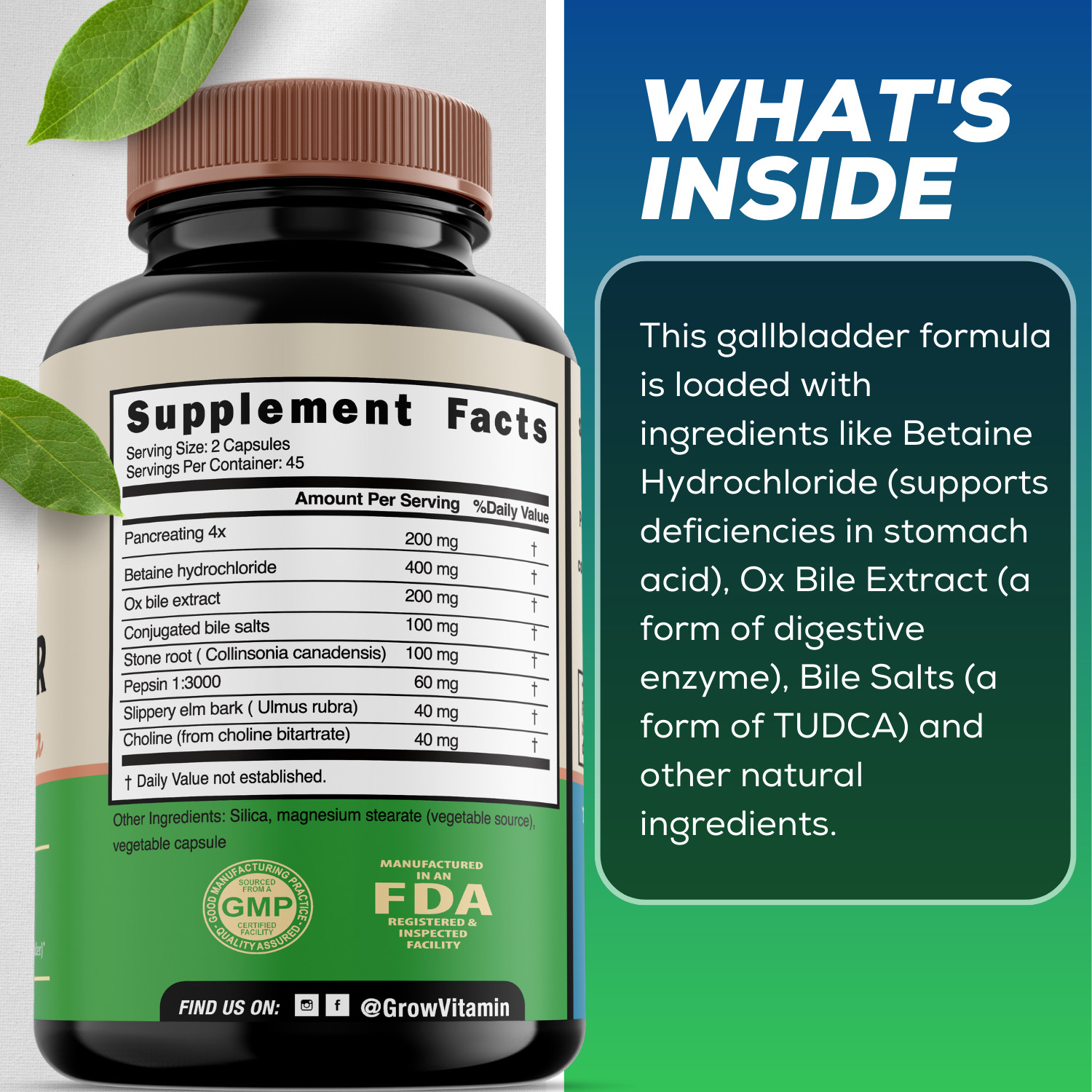 Grow Vitamin Original Gallbladder Formula