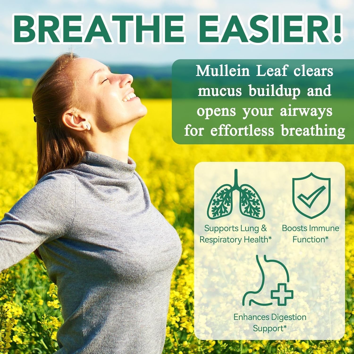60 Count Mullein Gummies for Lung Cleanse, 2000mg Organic Mullein Leaf Extract f