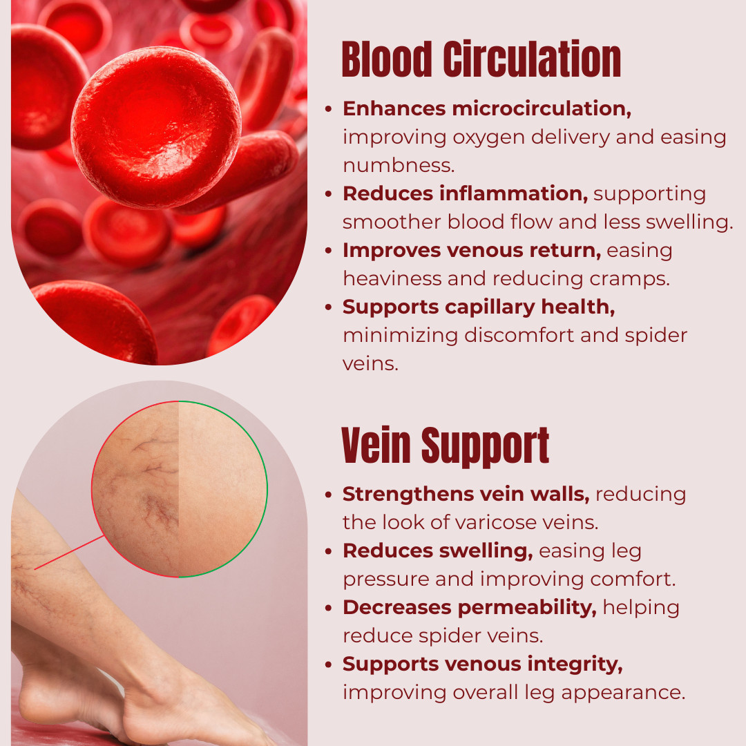 DIOSMIN Circulation and Vein Support 60 Capsules Bottle Pure Diosmin-Hesperidin