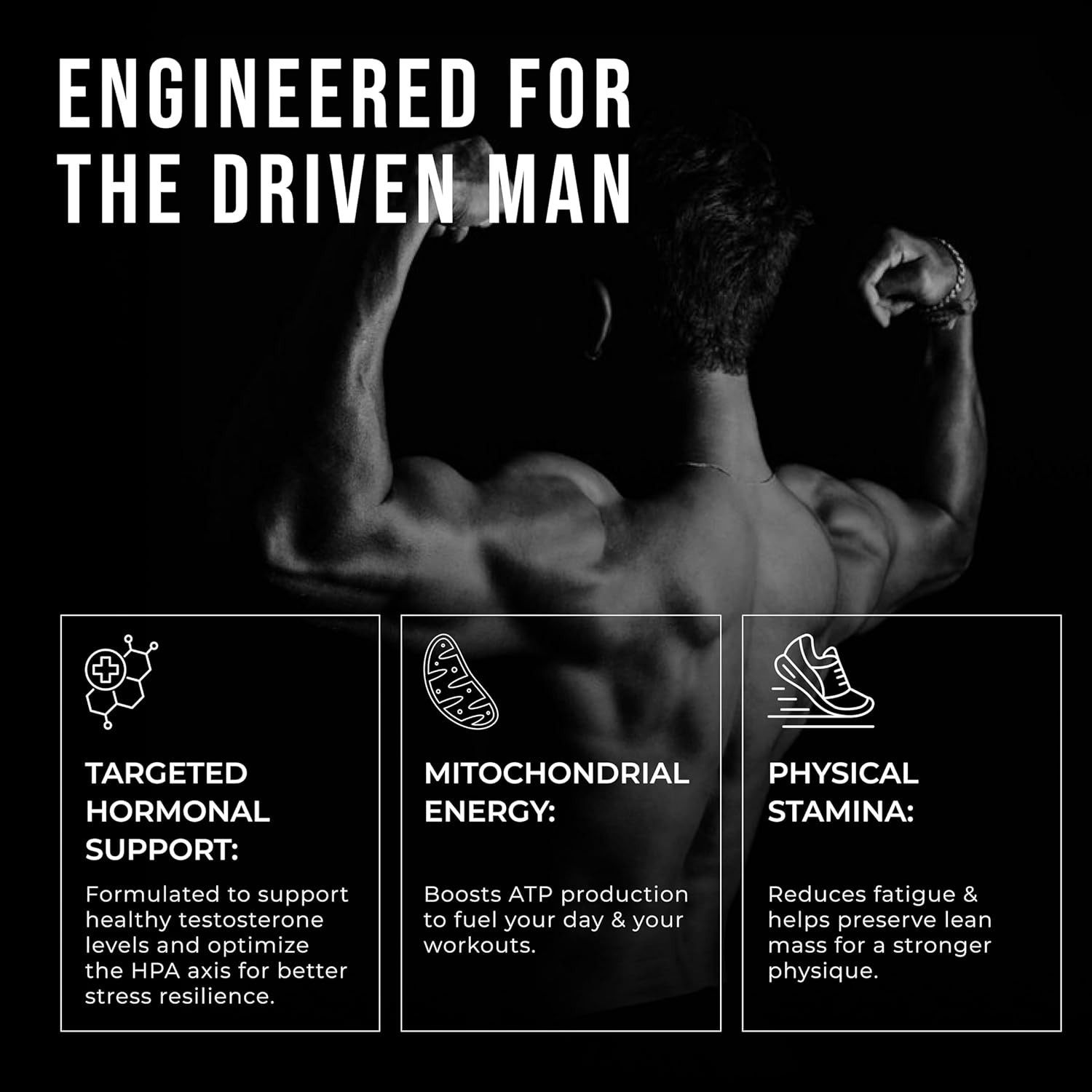 ERODUS Men Herbal Supplement Powder Ashwagandha Energy Vitality Support 30 Serv.