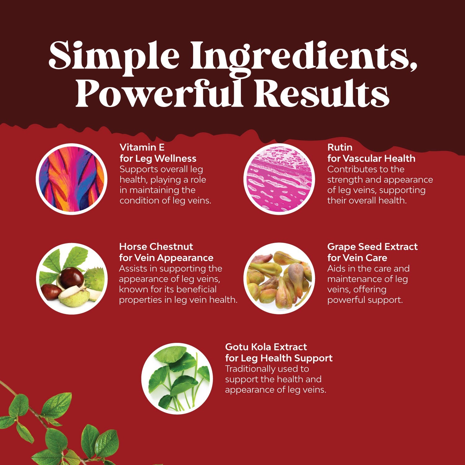 Vein Support Supplements – Full Body Circulation for Spider & Varicose Veins