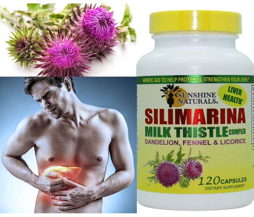 Milk thistle liver support 120 capsules cardio mariano liver health