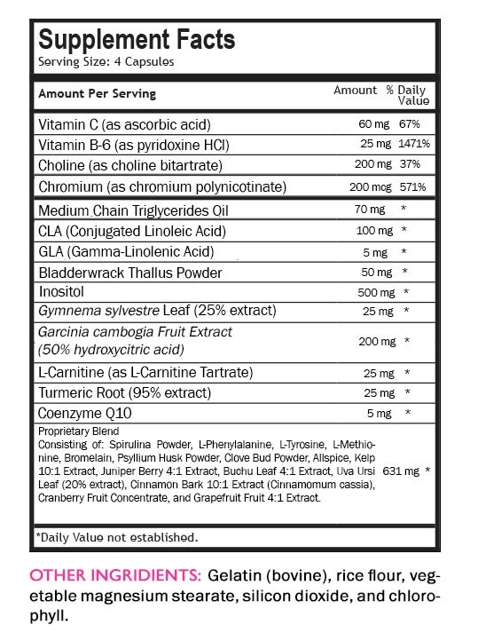 Daily Momentum – SUPER FAT BURNER – Spirulina Energize 1 Bottle 90 Capsules