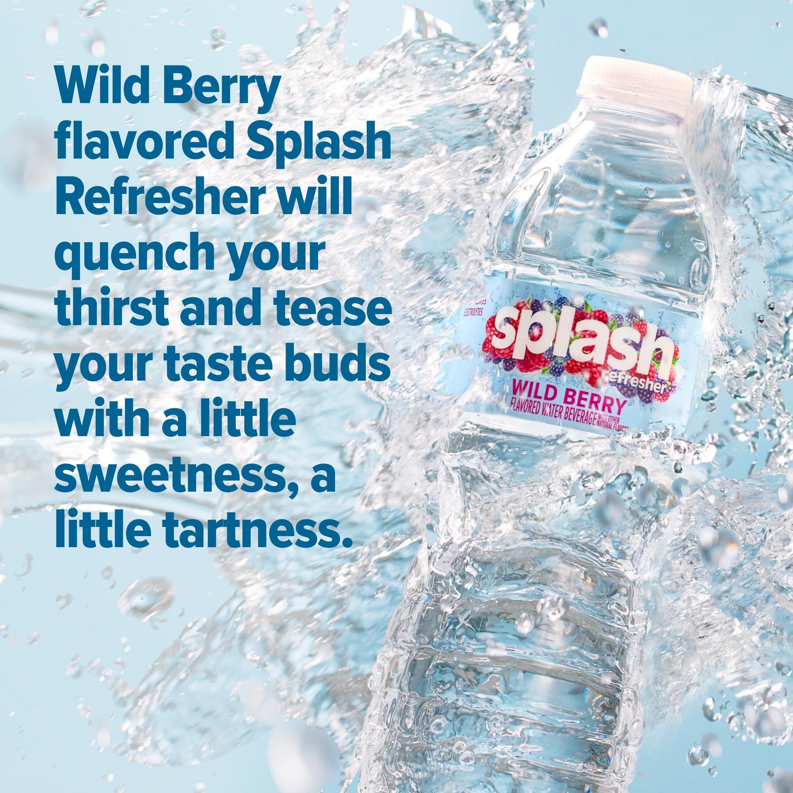 SPLASH REFRESHER Flavored Water Bottles, Wild 16.9 Fl Oz (Pack of 6), Clear