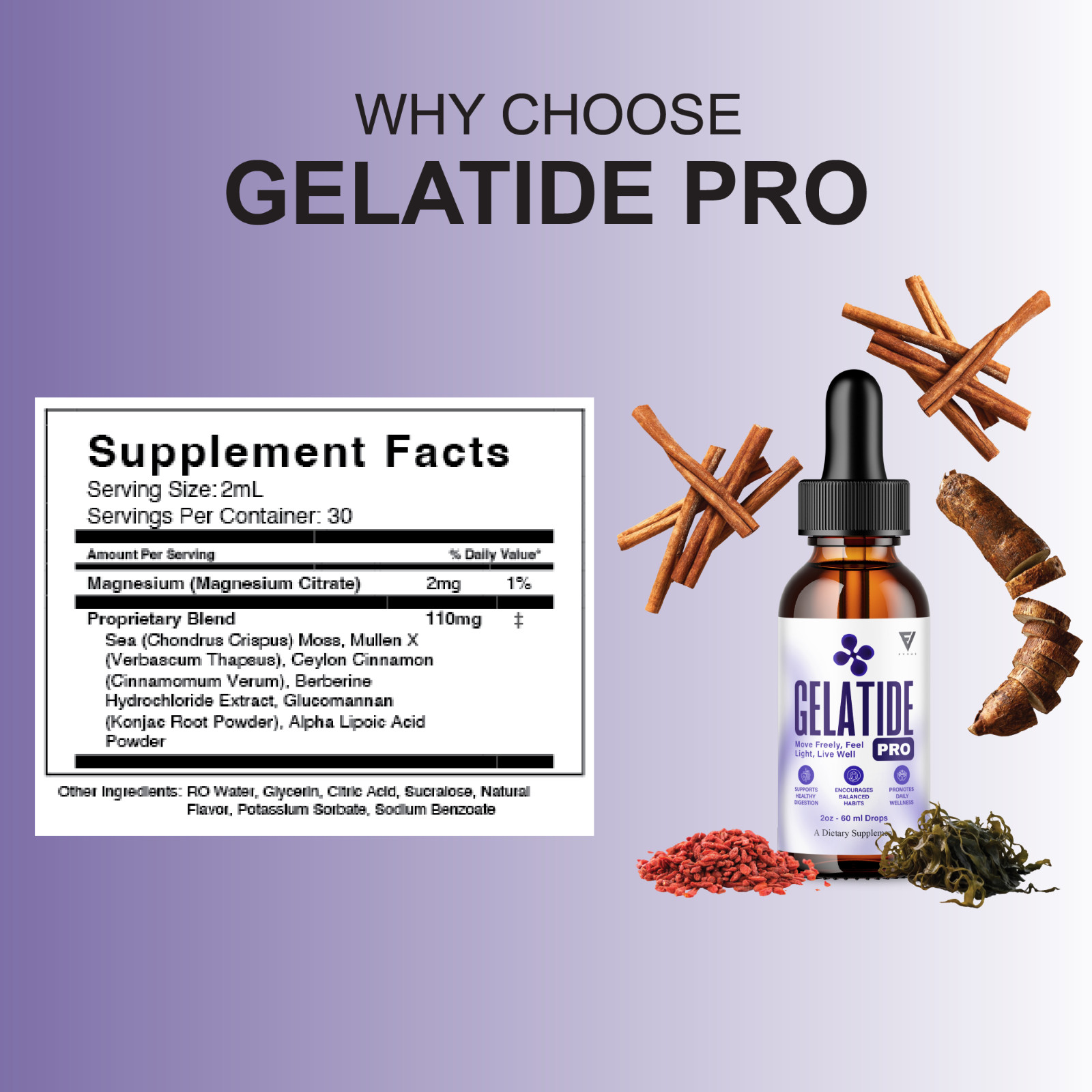(5 Pack) Gelatide Weight Management Drops, Gelatide Daily Health Support (10oz)