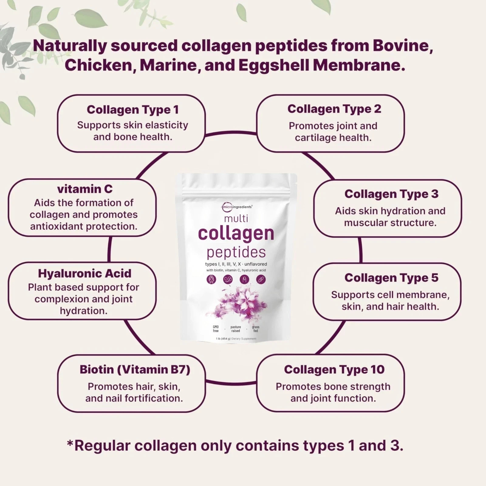 Type I II III V X Unflav – Micro Ingredients Multi Collagen Peptides Powder 16oz