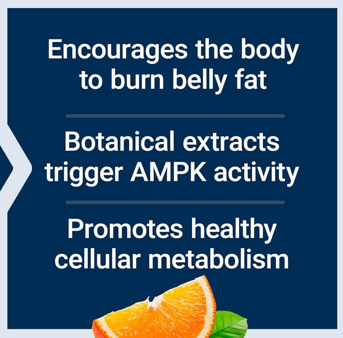 AMPK METABOLIC ACTIVATOR 3 BOTTLES BURNS BELLY FAT 90 Veg Tabs LIFE EXTENSION