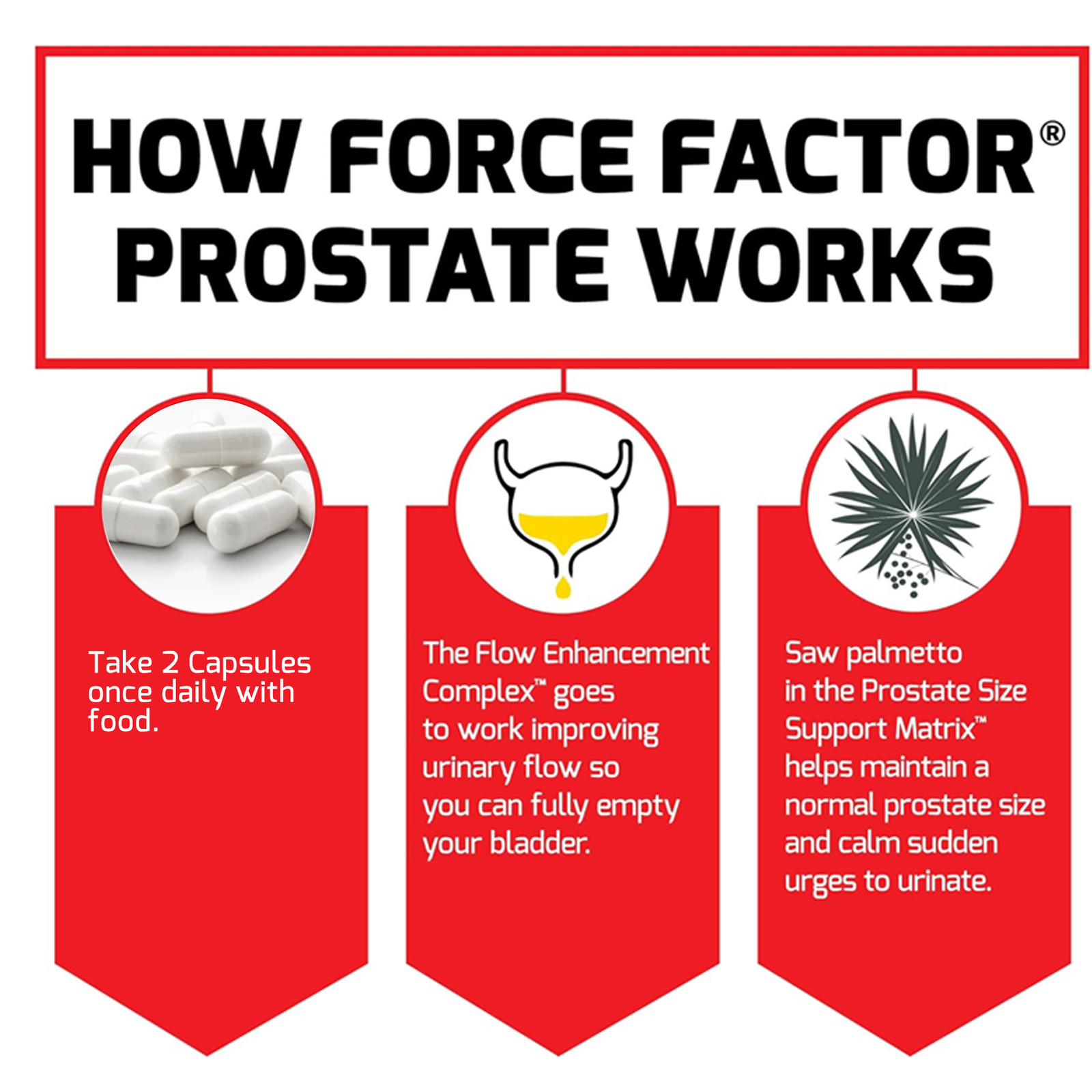 Prostate – Stinging Nettle, Saw Palmetto, Beta-Sitosterol – Urinary Tract Health