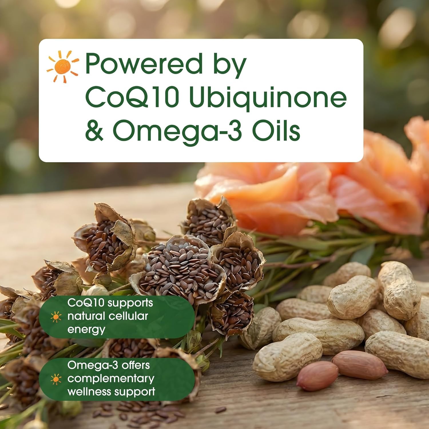 CoQ10 400mg with Omega 3 Fatty Acids, 240 Caps Antioxidant/Heart Support