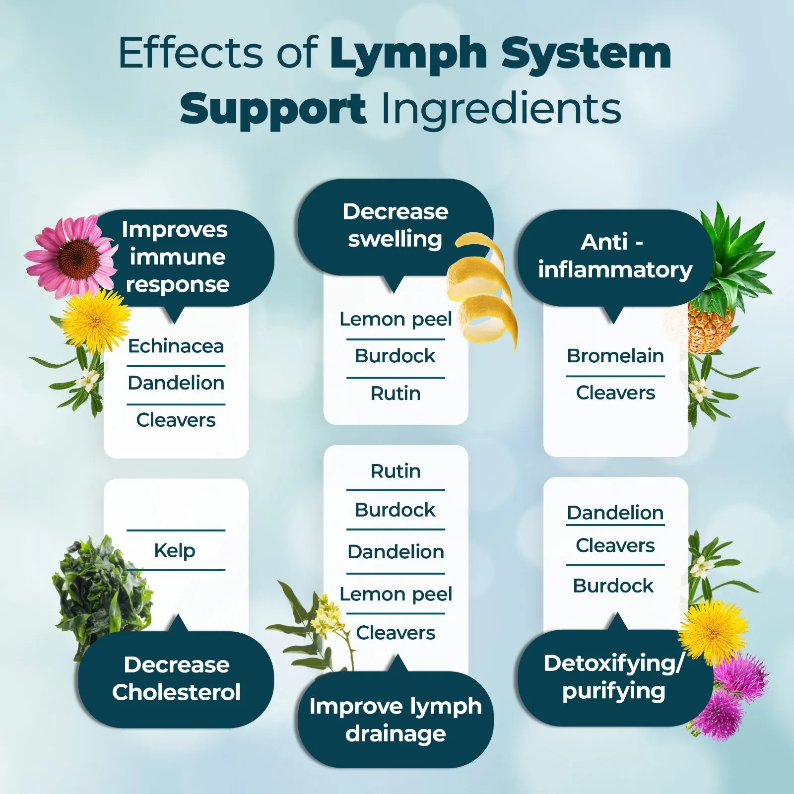 Reduce Supplement Lymphatic Swelling Boost Energy Digestion Detoxify Skin 60 CT