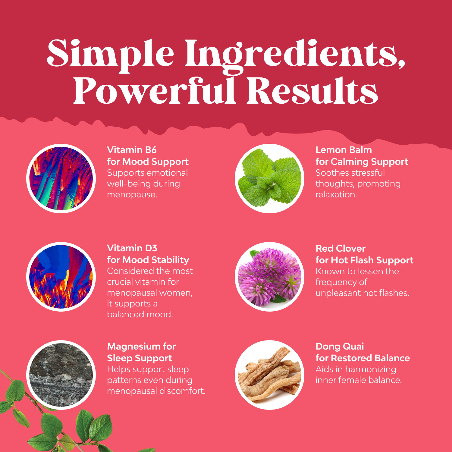 Complete Herbal Menopause Supplement for Women – 30 Servings