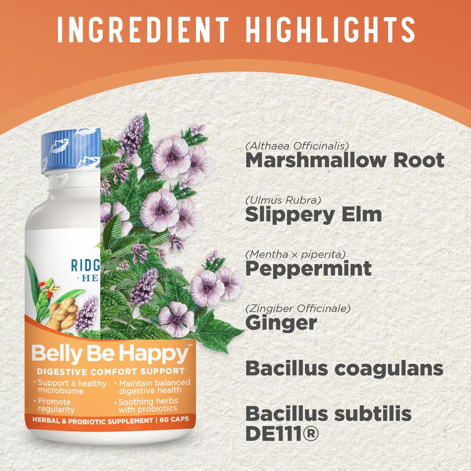 Ridgecrest Herbals Belly Be Happy Daily Digestive Support and Gut Health with…