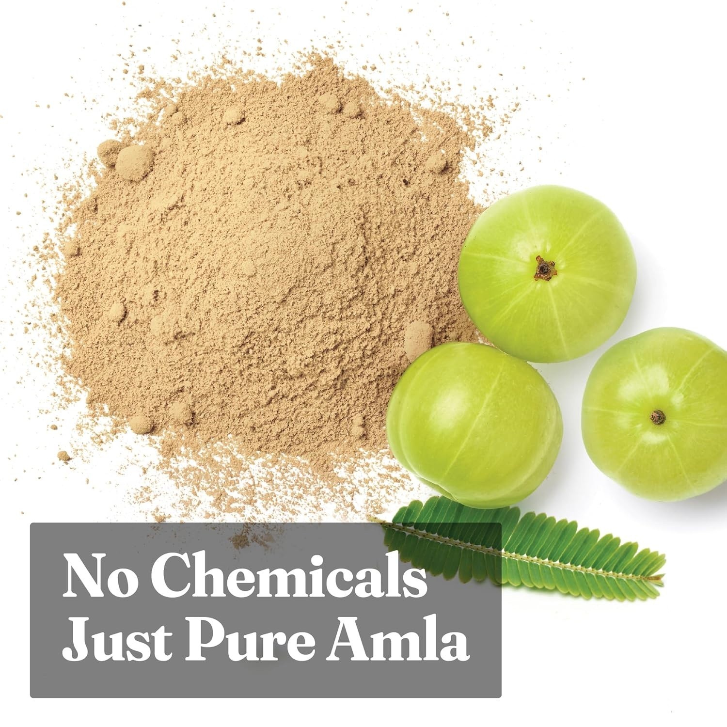 Dry Amla Powder for Hair Growth Organic, Eating, Drinking 100gm FreeShipping