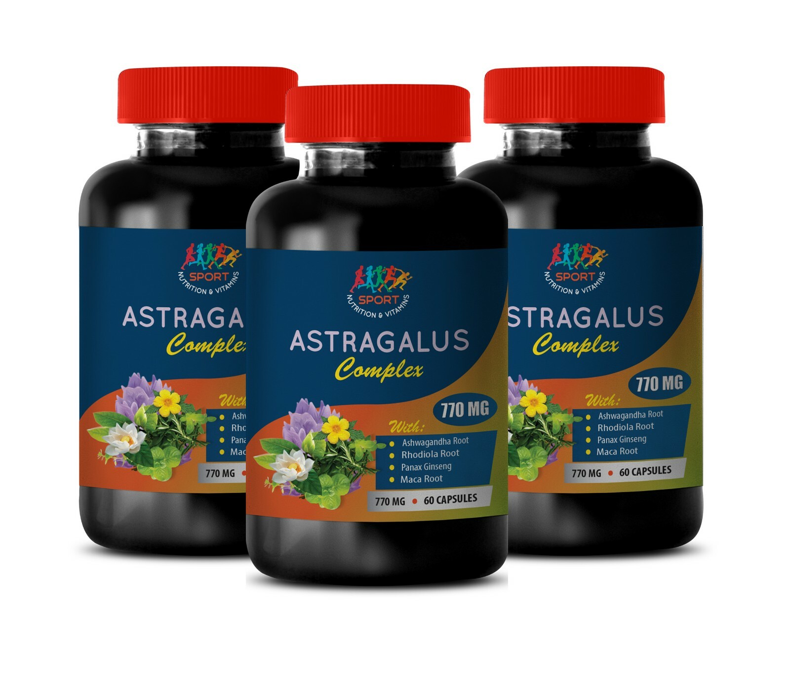 immune support whole foods – ASTRAGALUS COMPLEX – amla indian gooseberry 3B