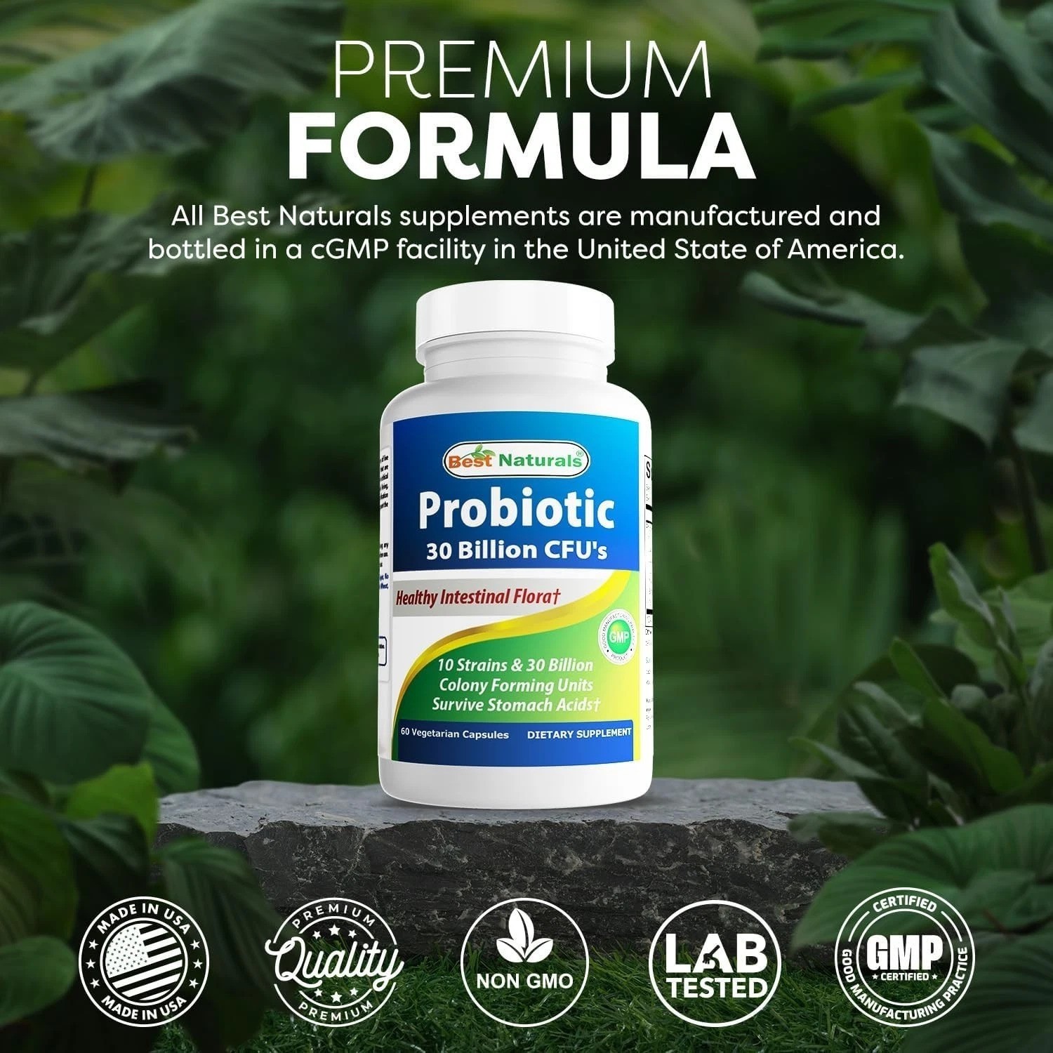 3rd Party Tested Probiotic 10 Strains – 30 Billion CFU for Wellness – 2-Pack