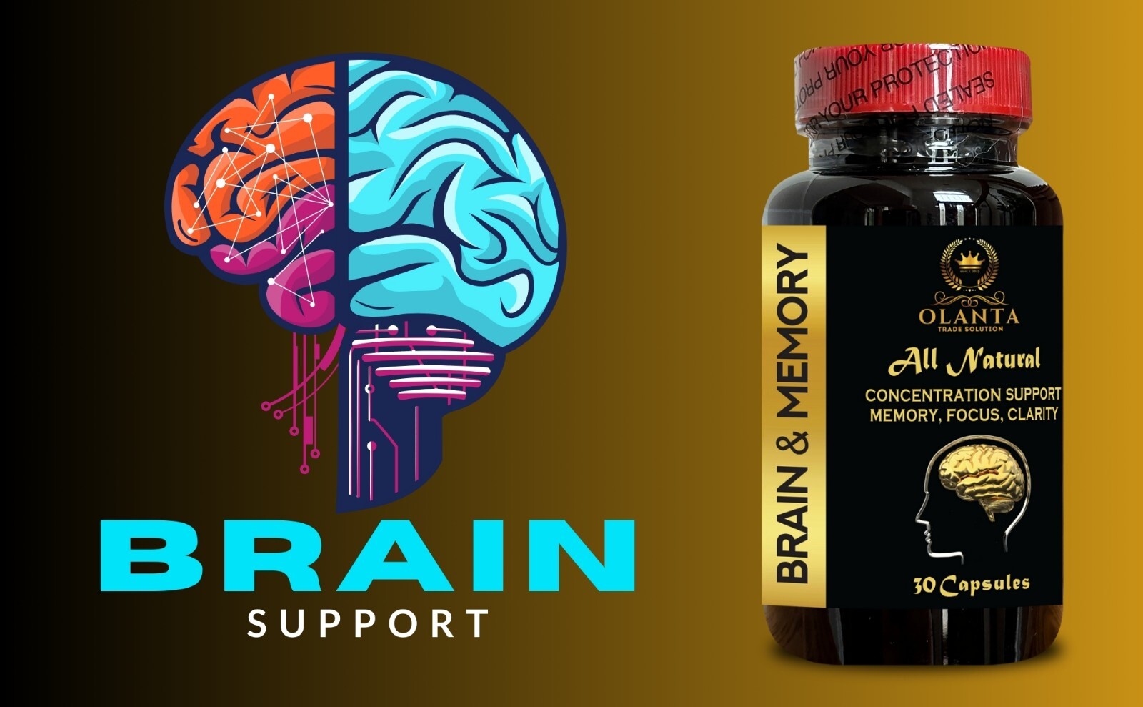 MIND MATRIX – Memory & Focus Brain Supplement Support, Brain Supplement for Ment