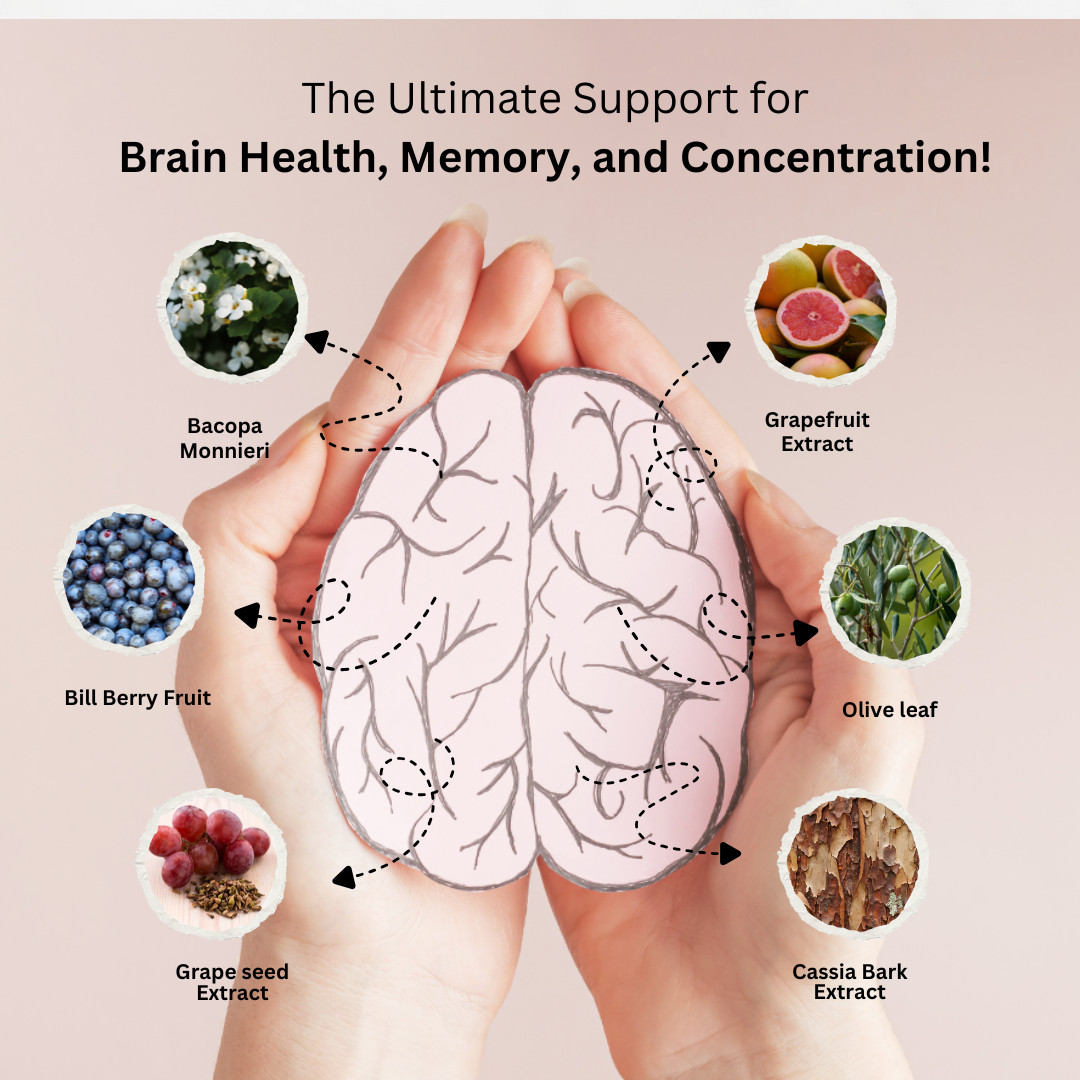 Brain Vex Memory Focus Supplement Cognitive Support Formula w/Bacopa (5 Bottles)