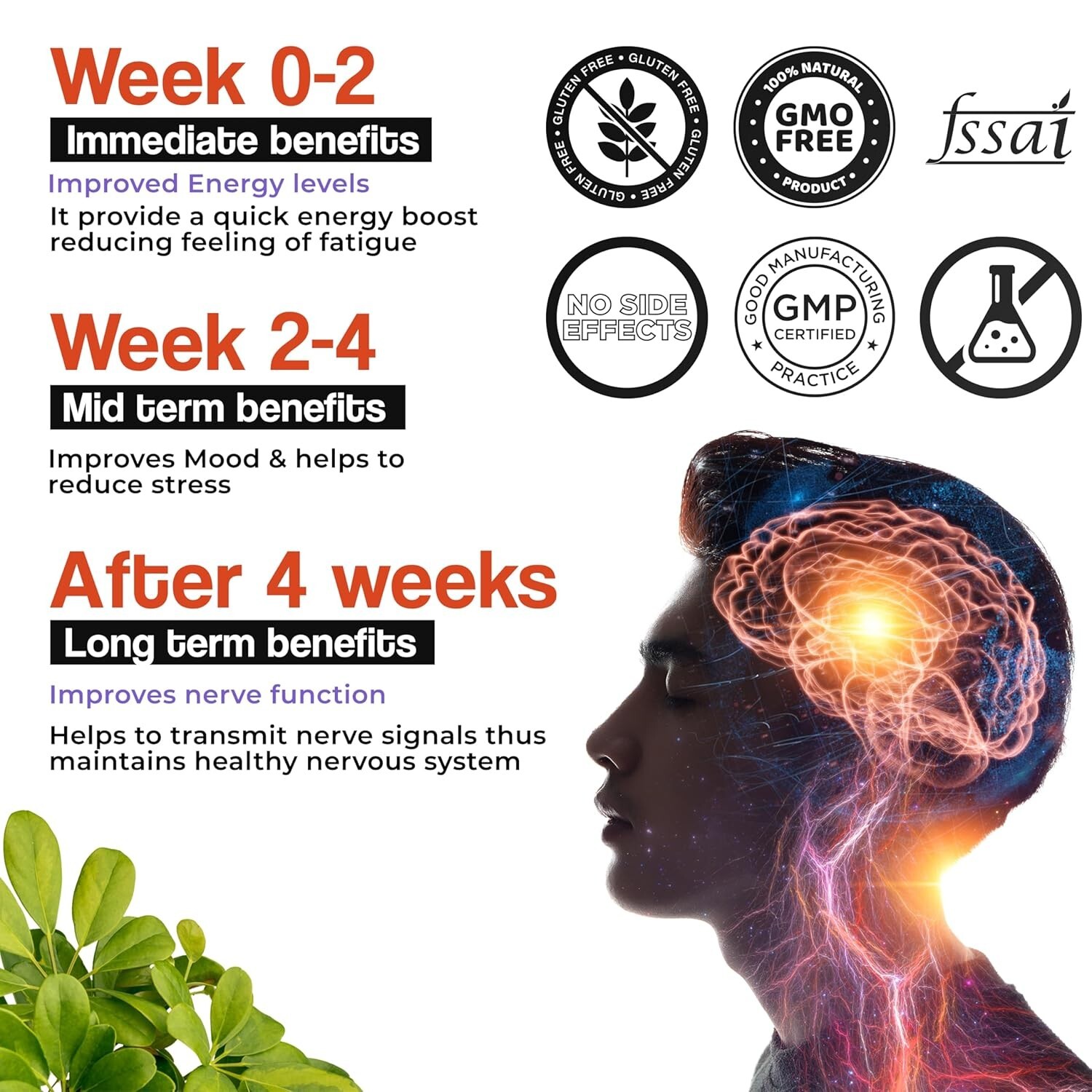 HEALTH VEDA ORGANICS Vitamin B-Complex Supplement | Hair Growth, Boosts Energy