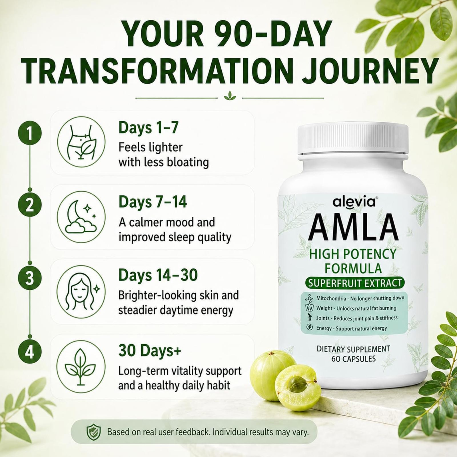 Alevia Natural Amla Capsules 1000mg Indian Gooseberry Antioxidant Supplement 60c